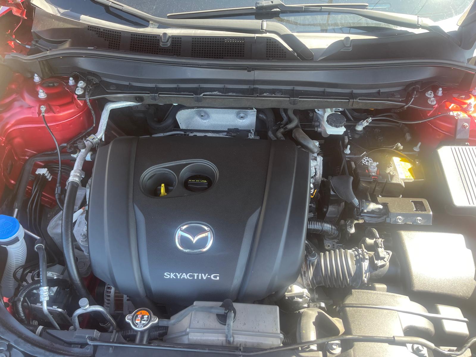 PHOTO-2025-09-29-11-52-05 20.jpg