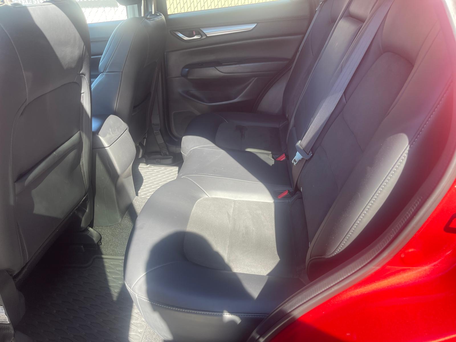 PHOTO-2025-09-29-11-52-05 3.jpg