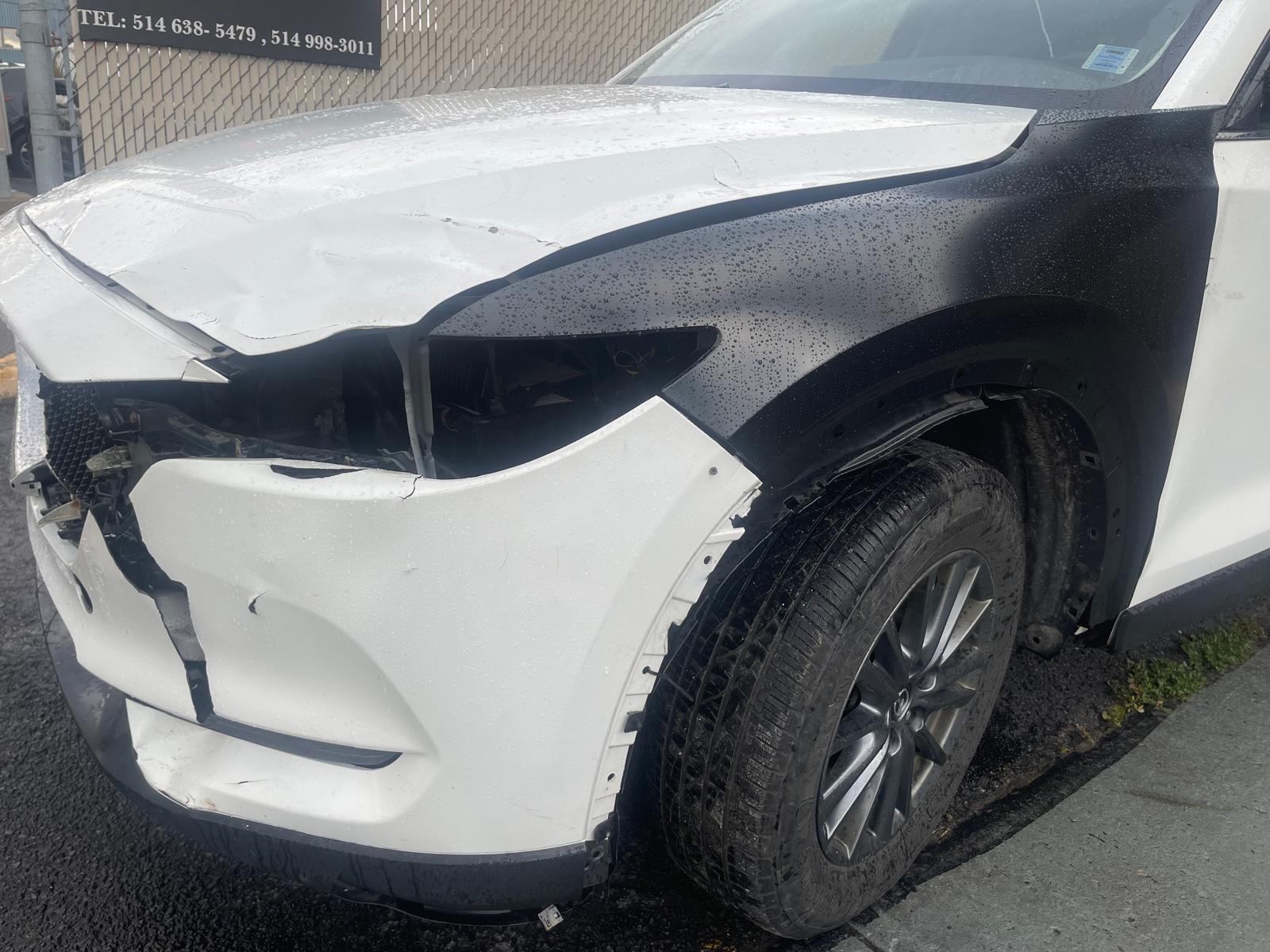 PHOTO-2025-10-23-15-28-44 9.jpg