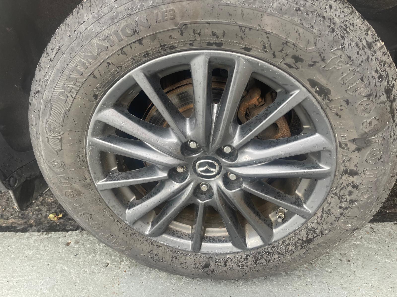 PHOTO-2025-10-23-15-28-43 16.jpg