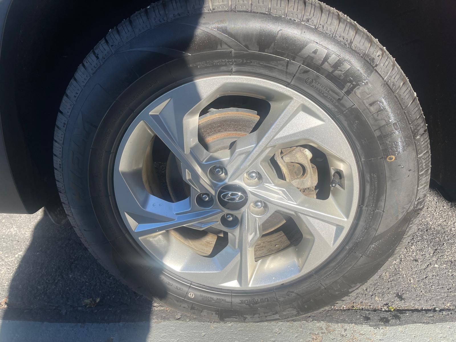 PHOTO-2025-11-04-11-00-28 2.jpg