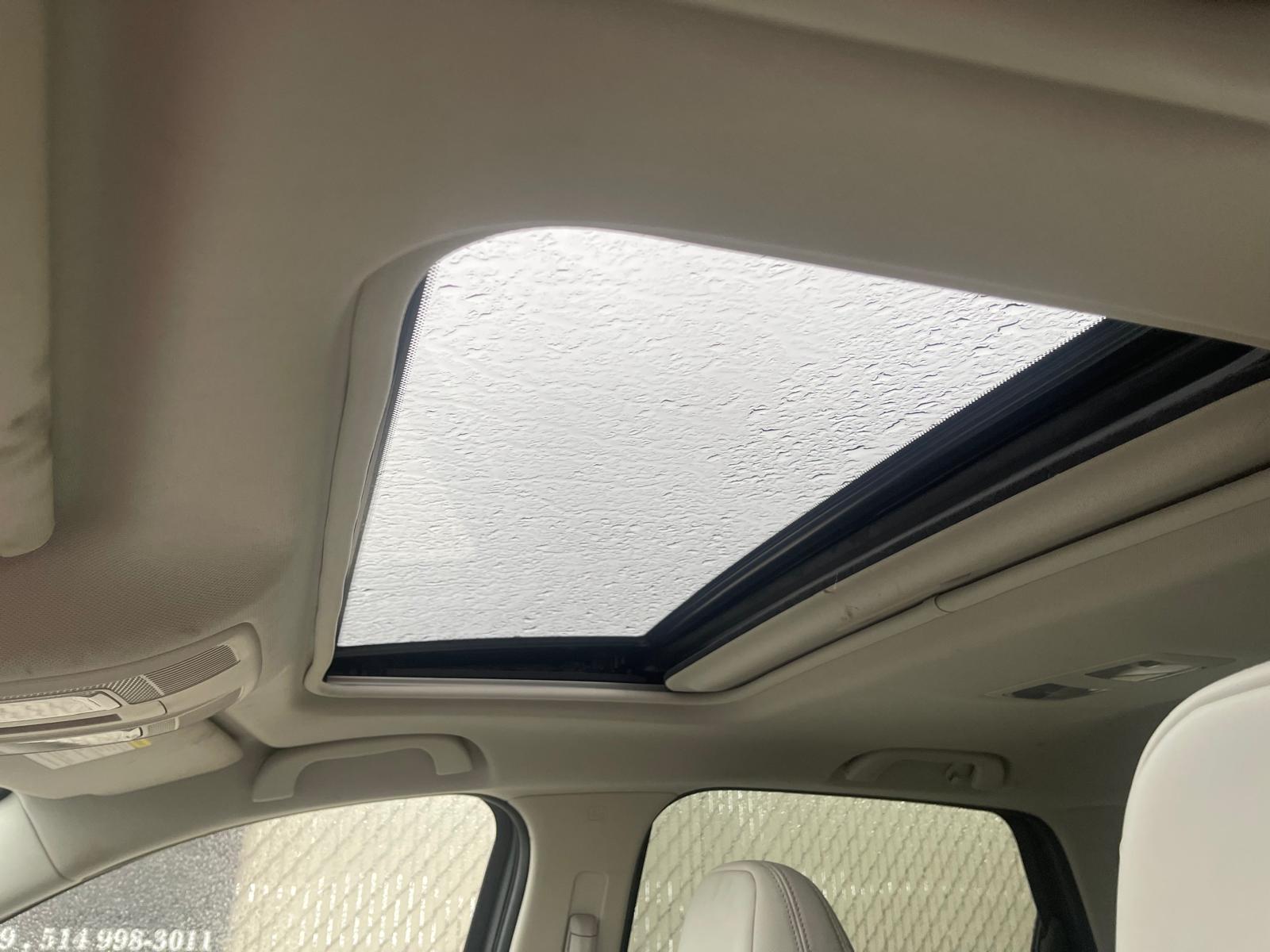 PHOTO-2025-11-21-10-36-03 5.jpg