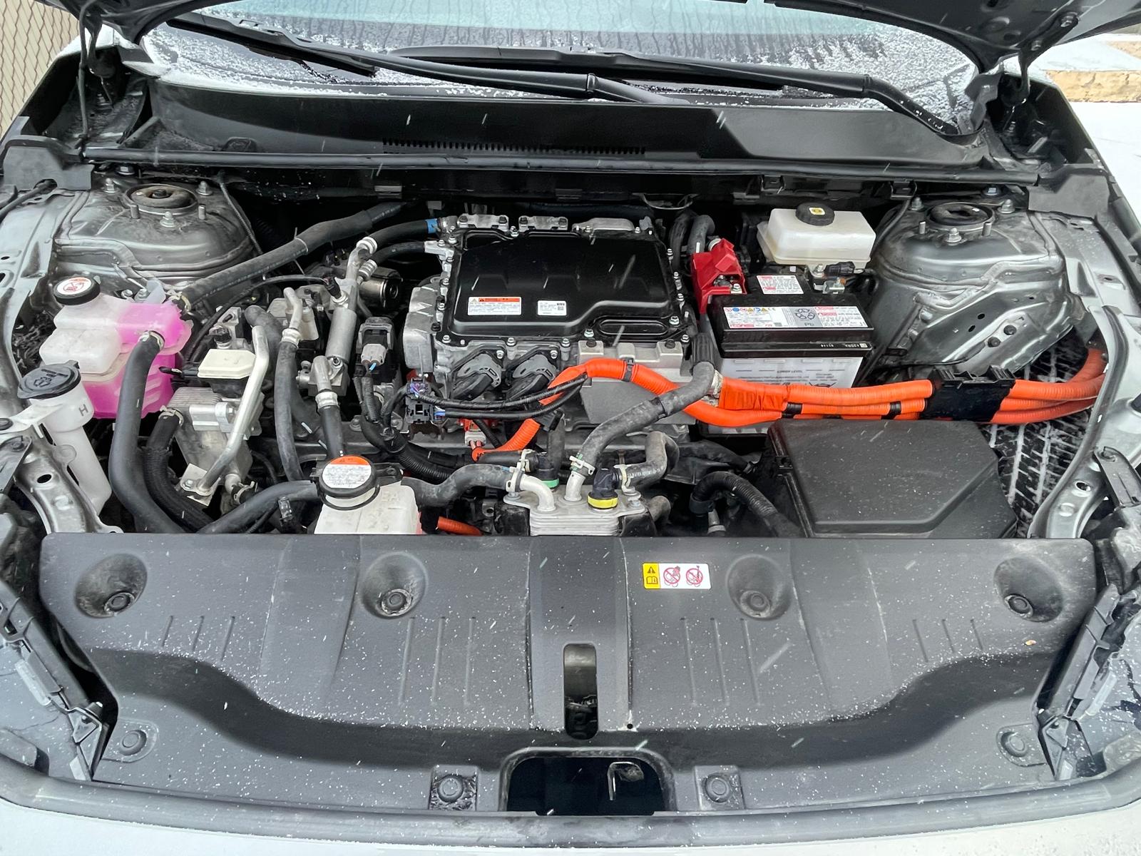 PHOTO-2025-12-22-15-26-25 4.jpg