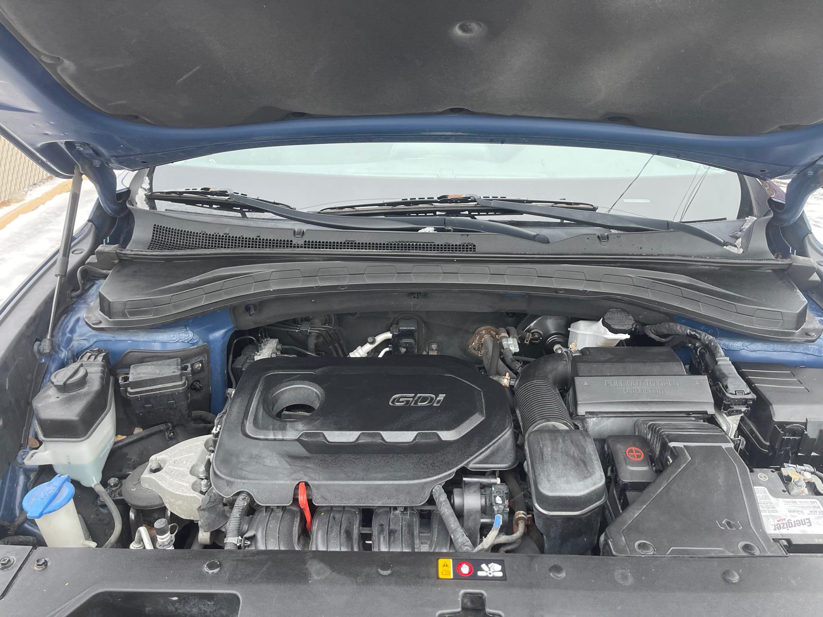 PHOTO-2026-01-19-15-48-41 14.jpg