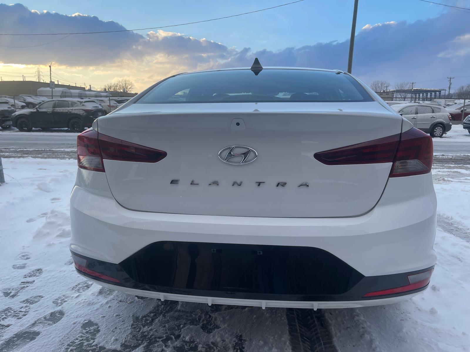 PHOTO-2026-01-22-16-12-33 5.jpg