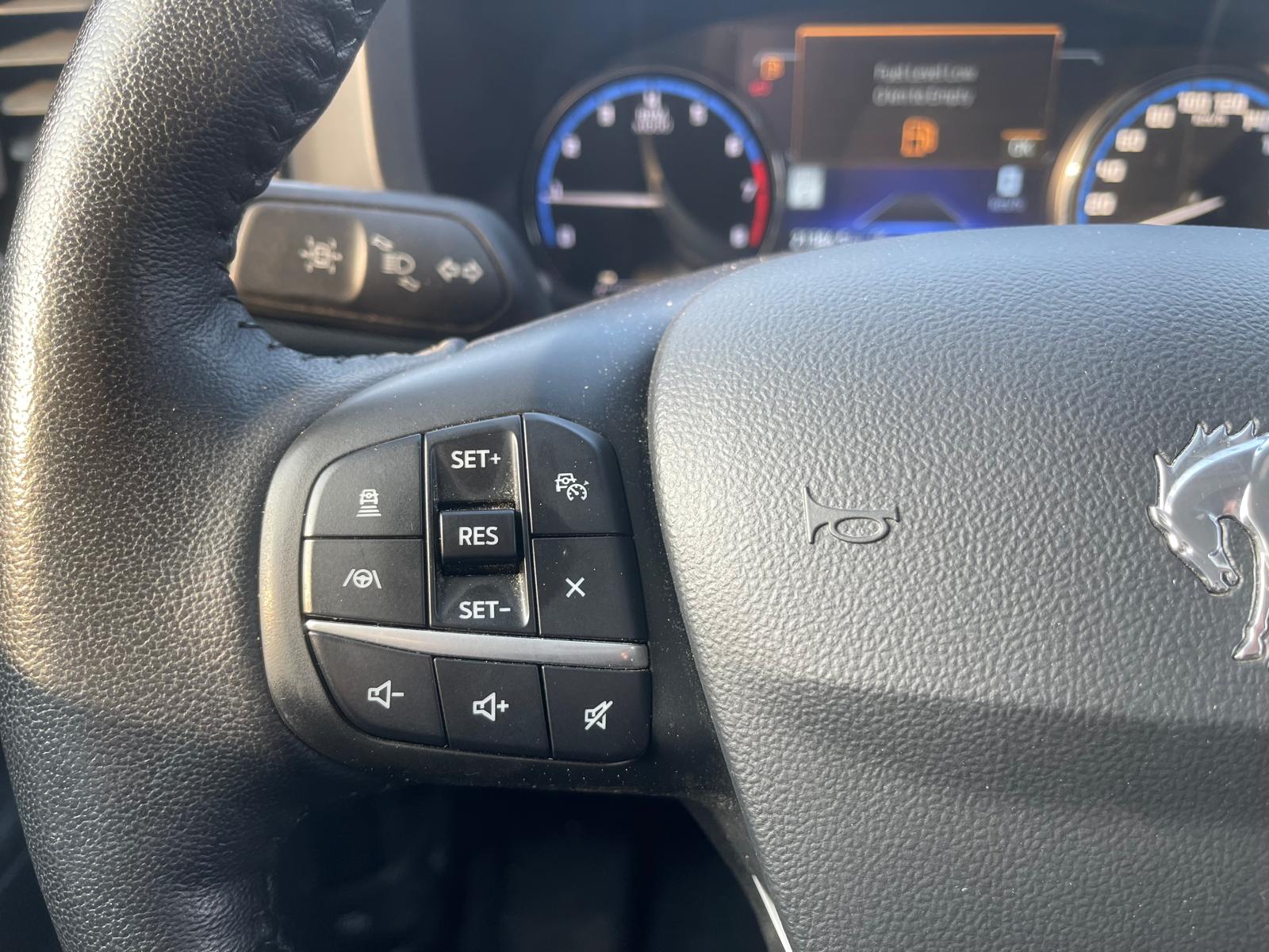 PHOTO-2026-02-04-10-03-51 2.jpg