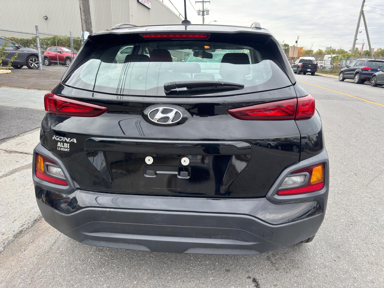 PHOTO-2026-02-16-03-20-59 3.jpg