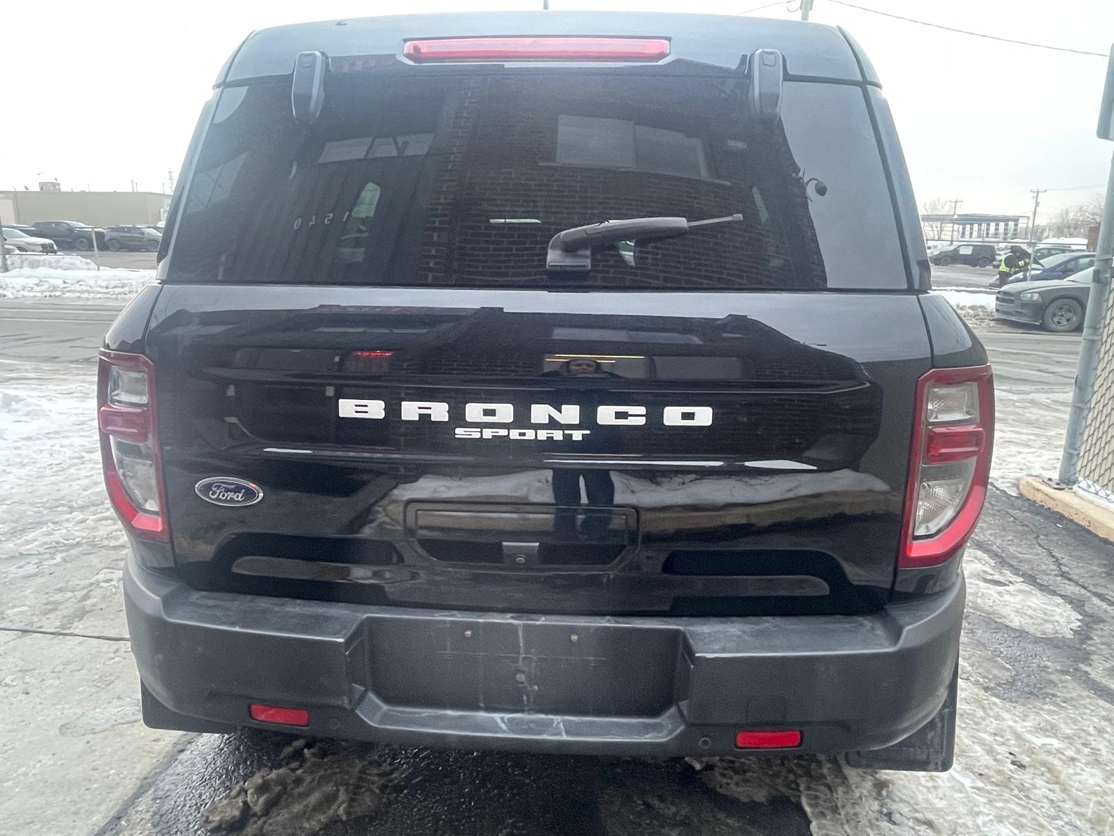 PHOTO-2026-02-17-13-54-37 5.jpg