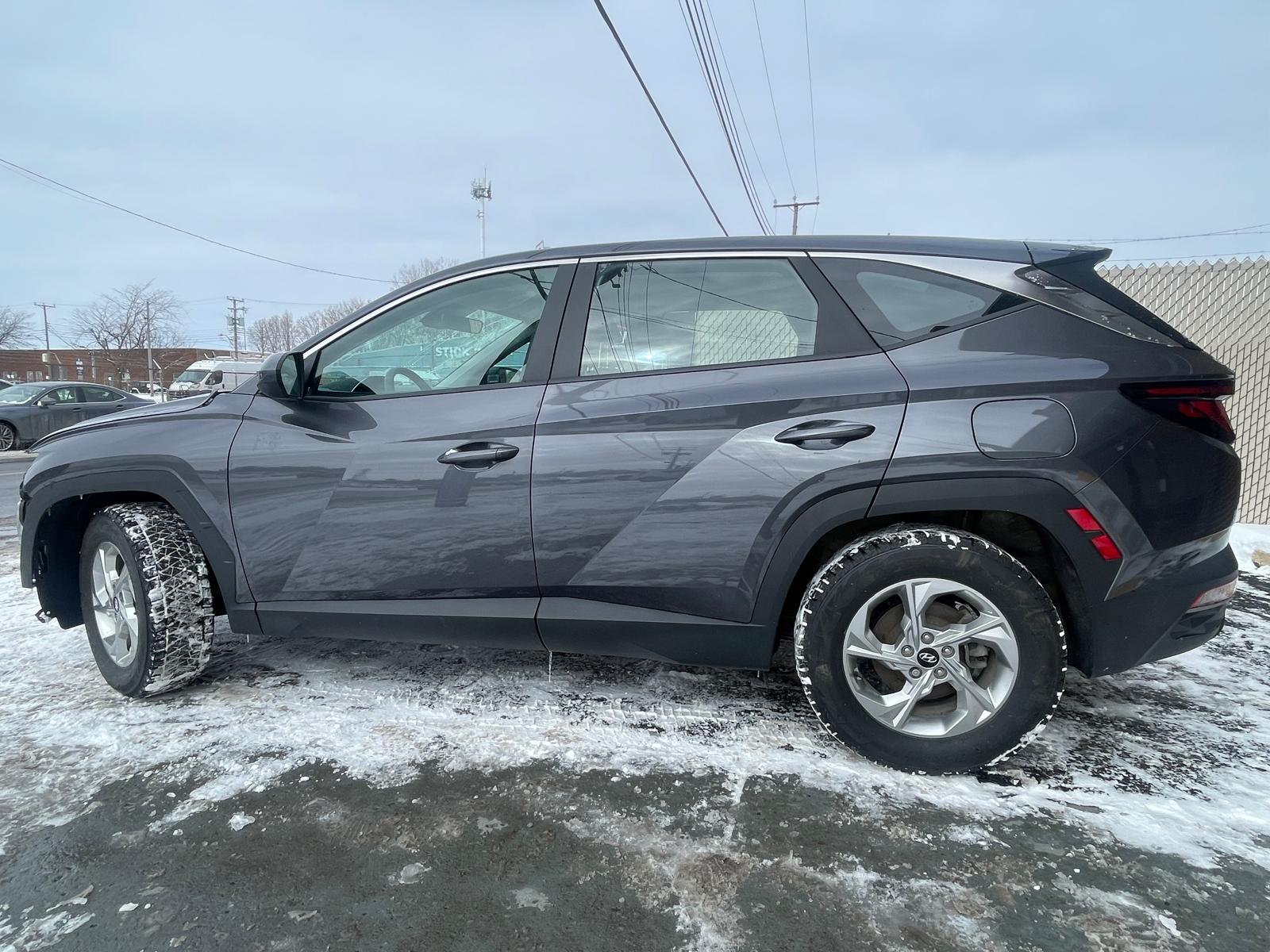 PHOTO-2026-02-26-15-15-44 2.jpg