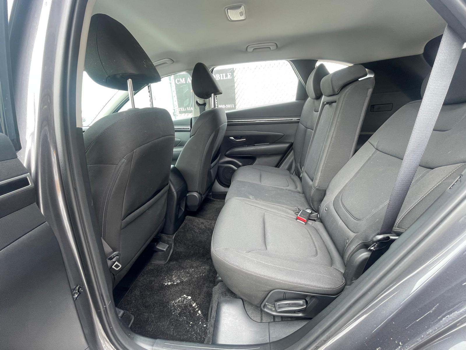 PHOTO-2026-02-26-15-15-43 6.jpg