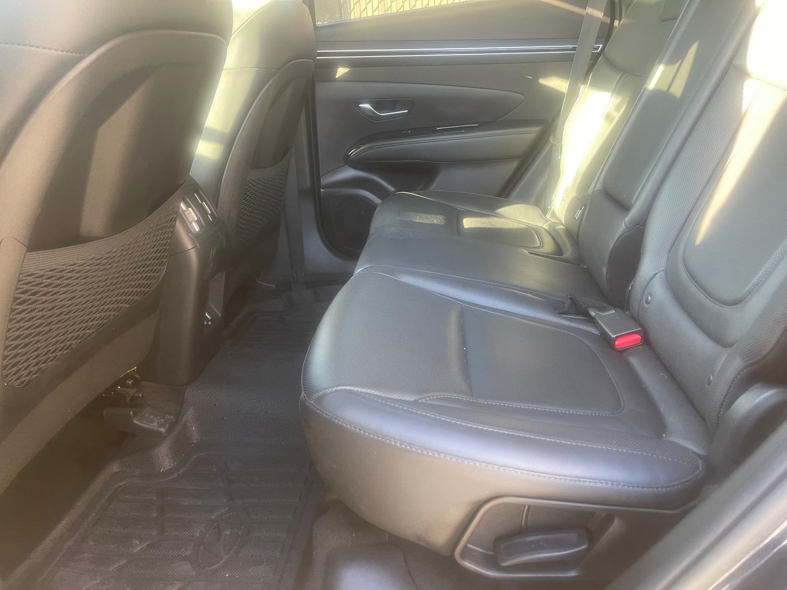 PHOTO-2026-02-26-16-10-03 2.jpg