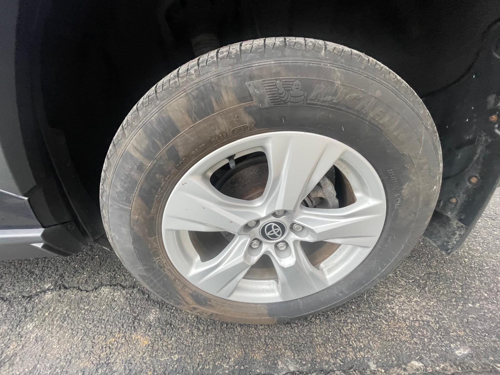 PHOTO-2026-03-11-10-58-50 8.jpg