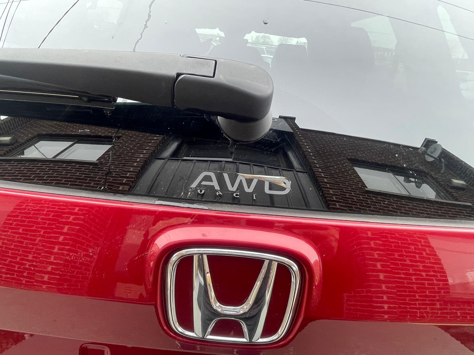 PHOTO-2026-03-13-16-34-29 5.jpg