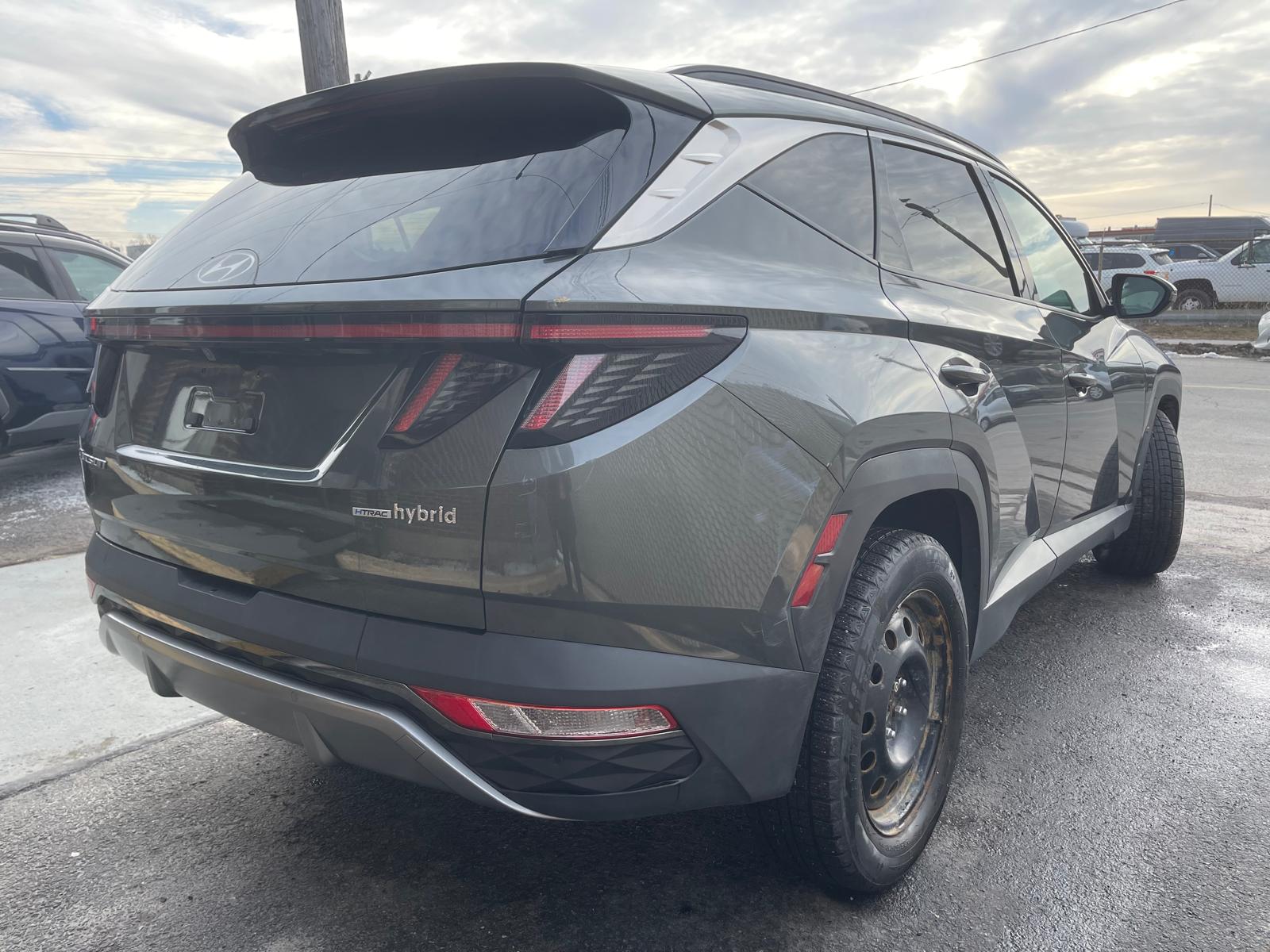 PHOTO-2026-03-18-17-13-55 2.jpg