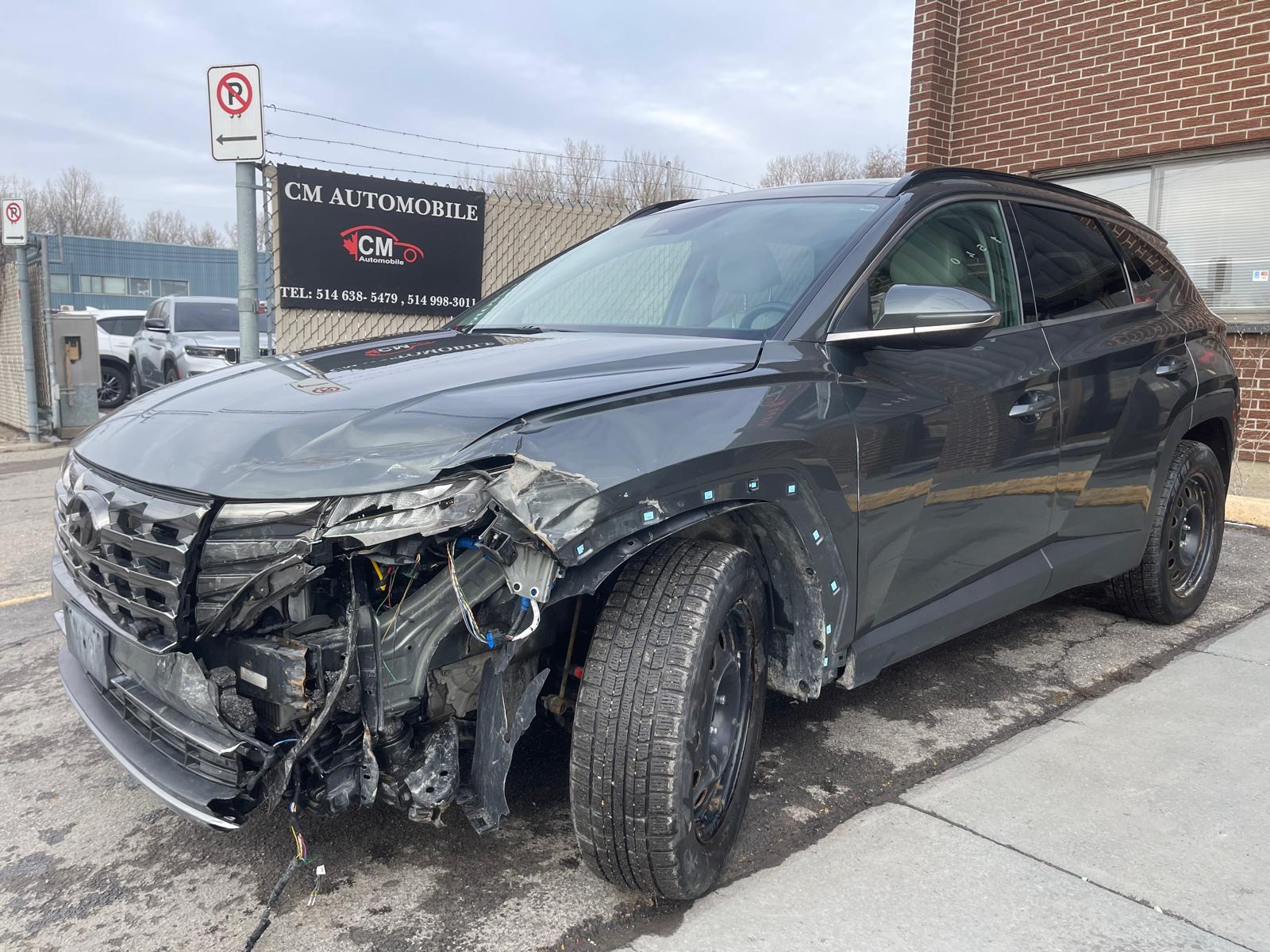 PHOTO-2026-03-18-17-13-55 12.jpg