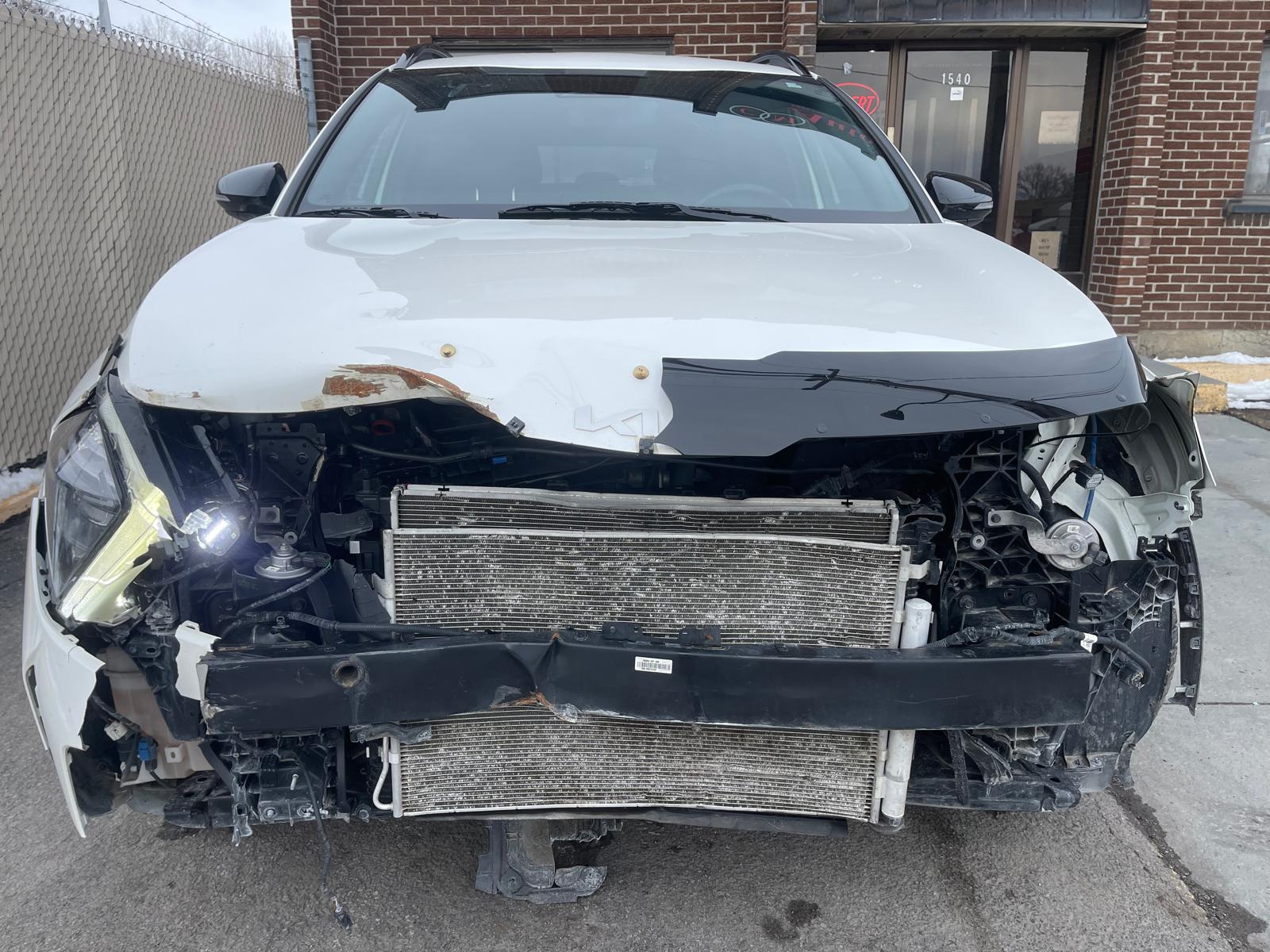 PHOTO-2026-03-24-17-30-57 5.jpg