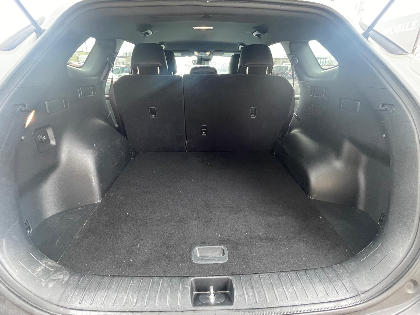 PHOTO-2026-03-24-17-30-59 3.jpg