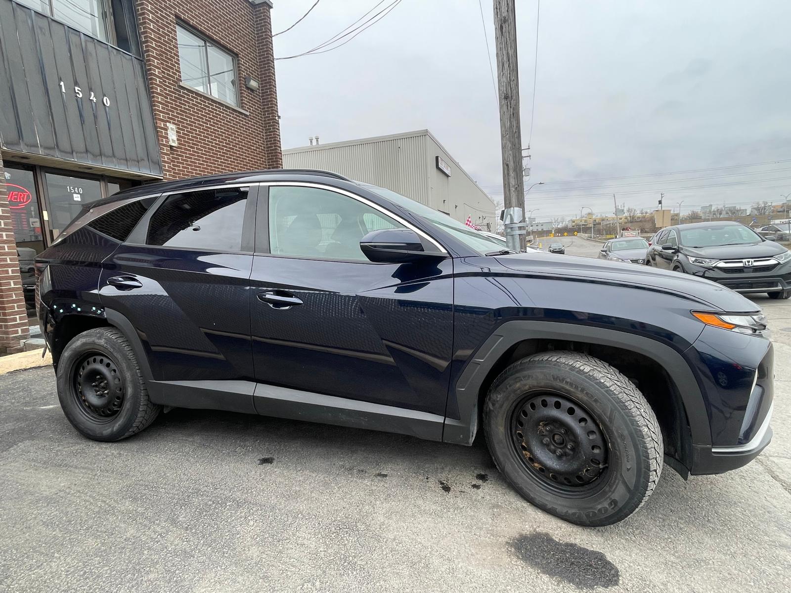 PHOTO-2026-04-02-15-57-36 3.jpg