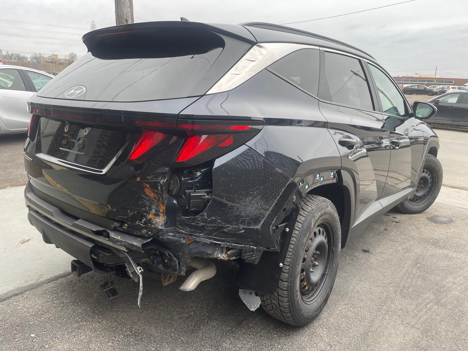 PHOTO-2026-04-02-15-57-36 4.jpg