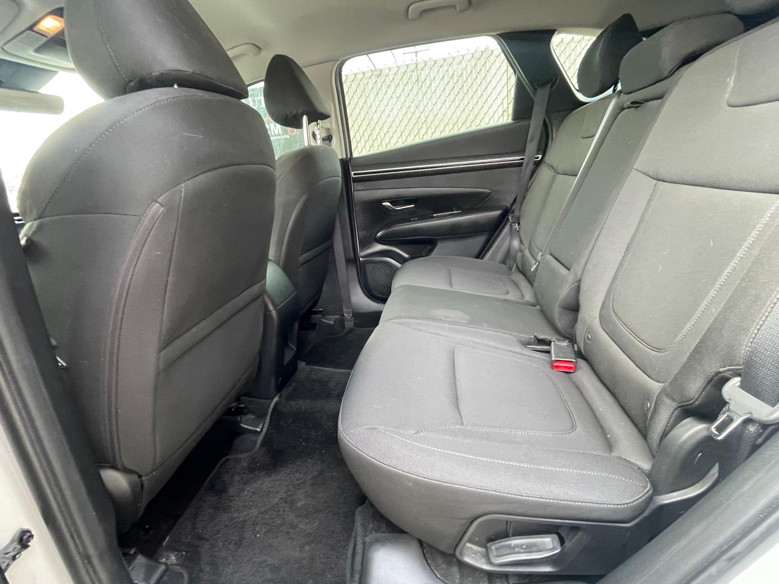 PHOTO-2026-04-07-17-15-14 21.jpg