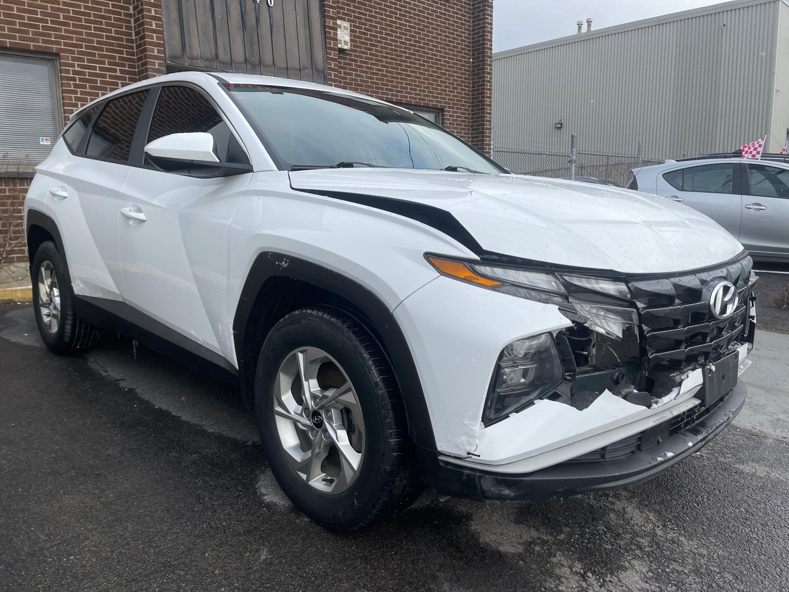 PHOTO-2026-04-07-17-15-14 5.jpg