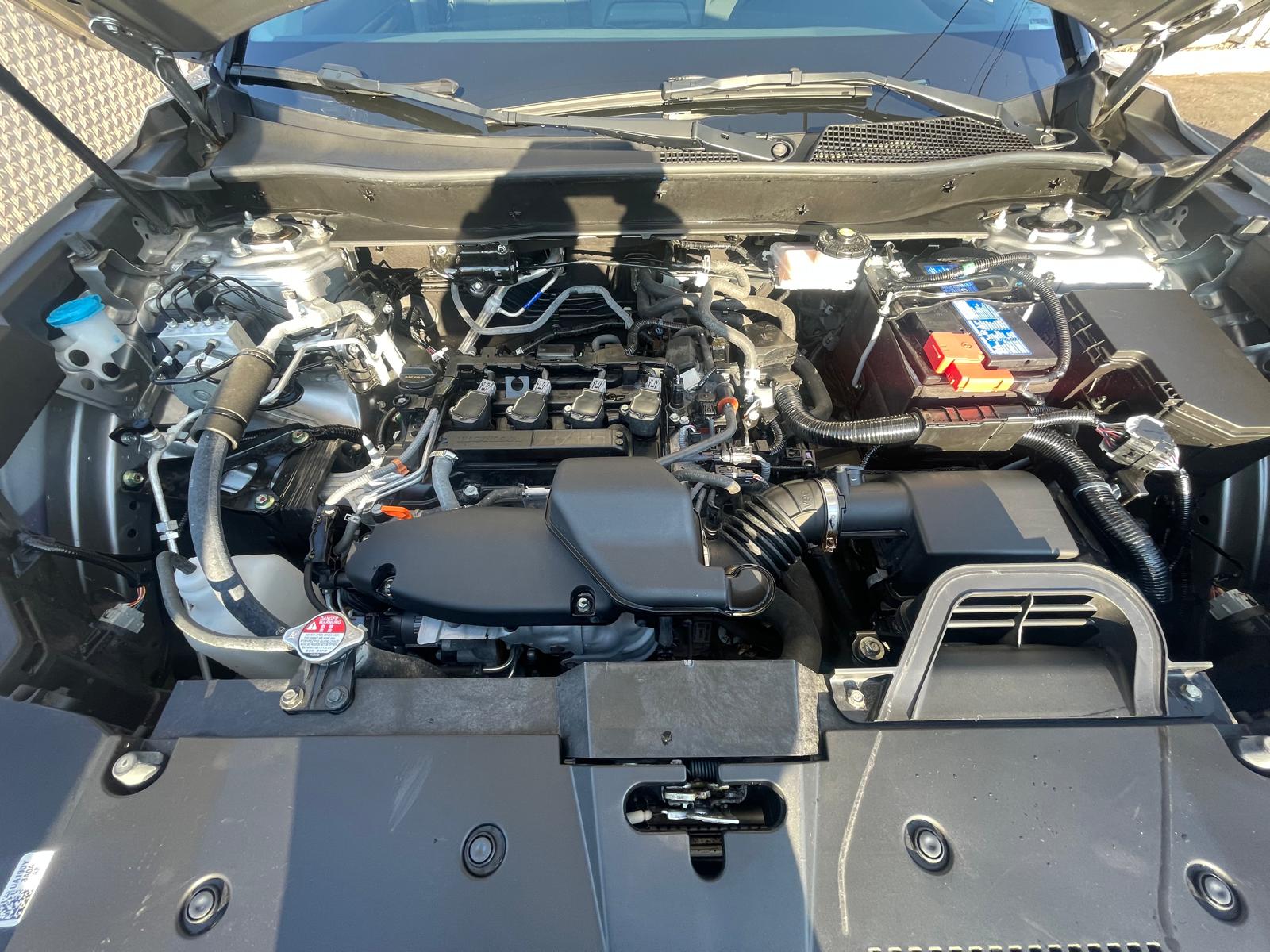 PHOTO-2026-04-09-09-28-06 23.jpg