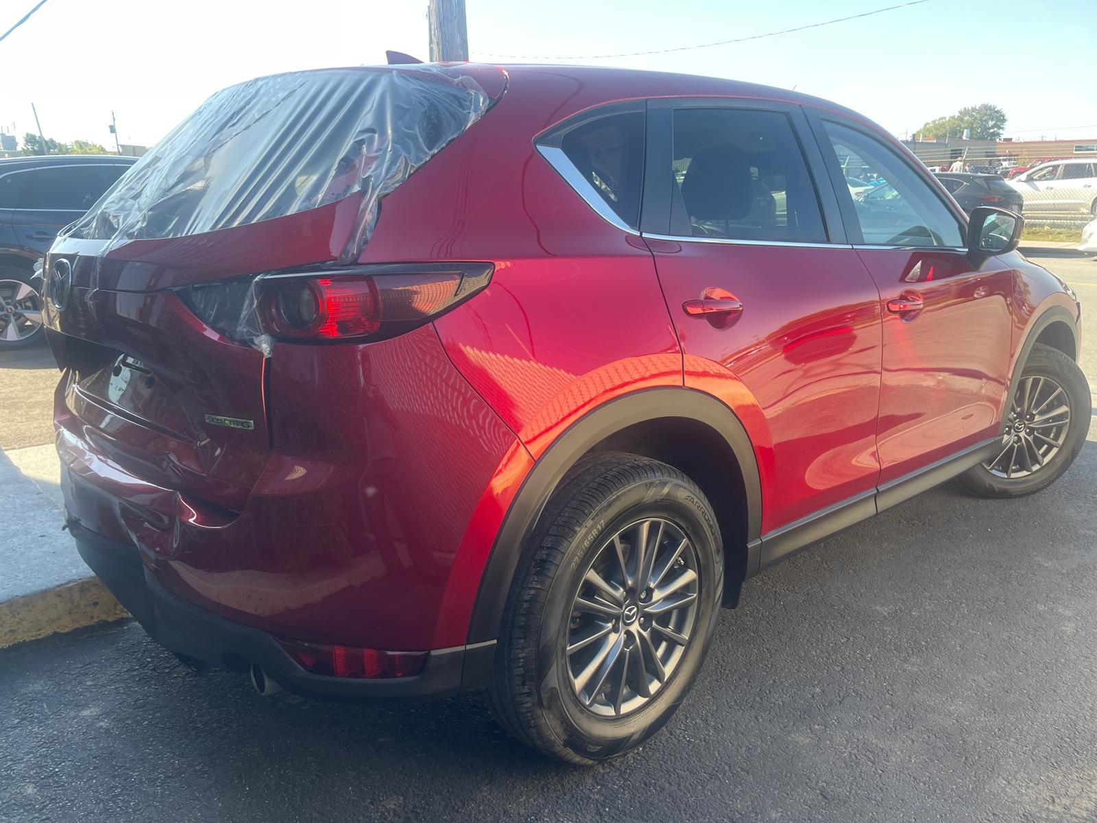 PHOTO-2025-09-29-11-52-04 5.jpg