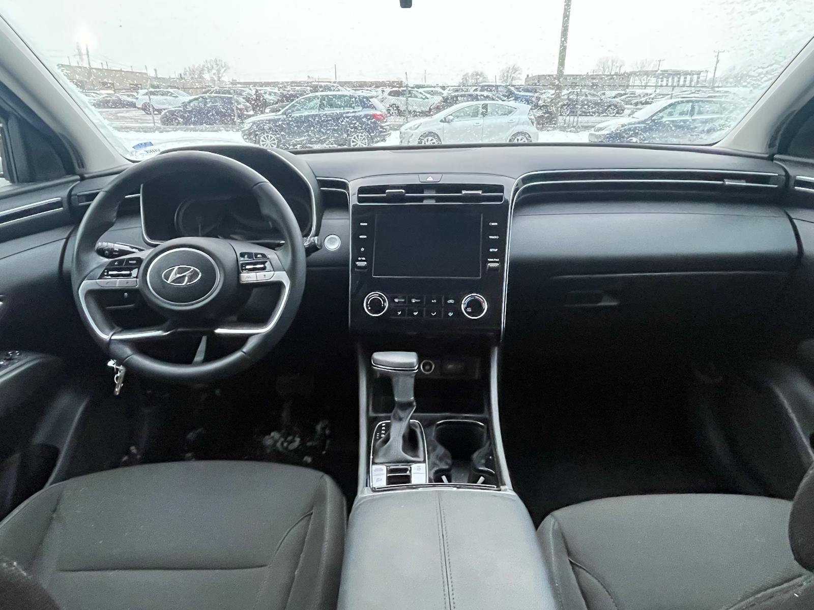 PHOTO-2026-01-05-17-16-09 5.jpg