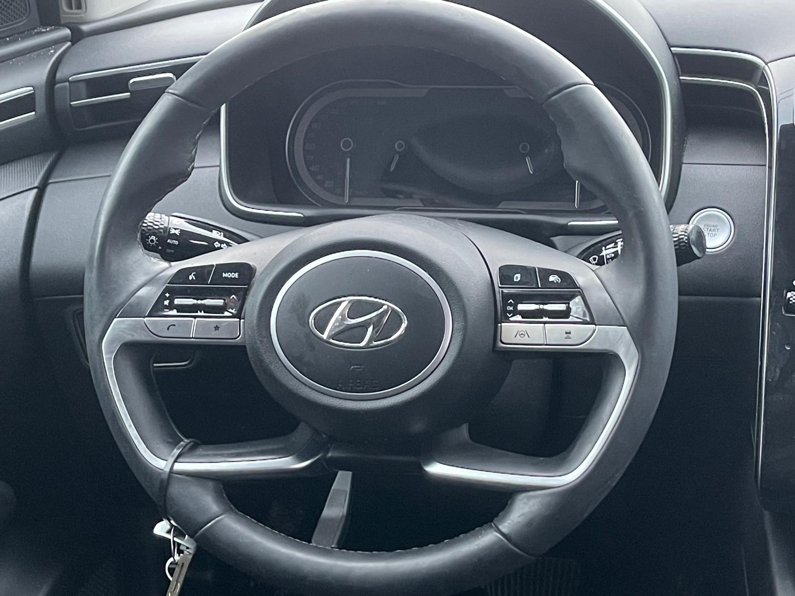 PHOTO-2026-01-05-17-16-09 11.jpg