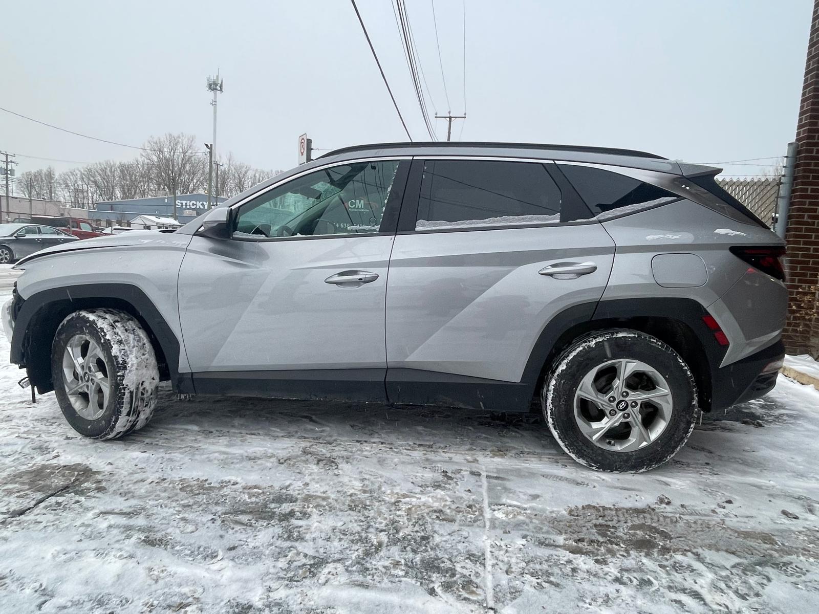 PHOTO-2026-01-05-17-16-08 11.jpg