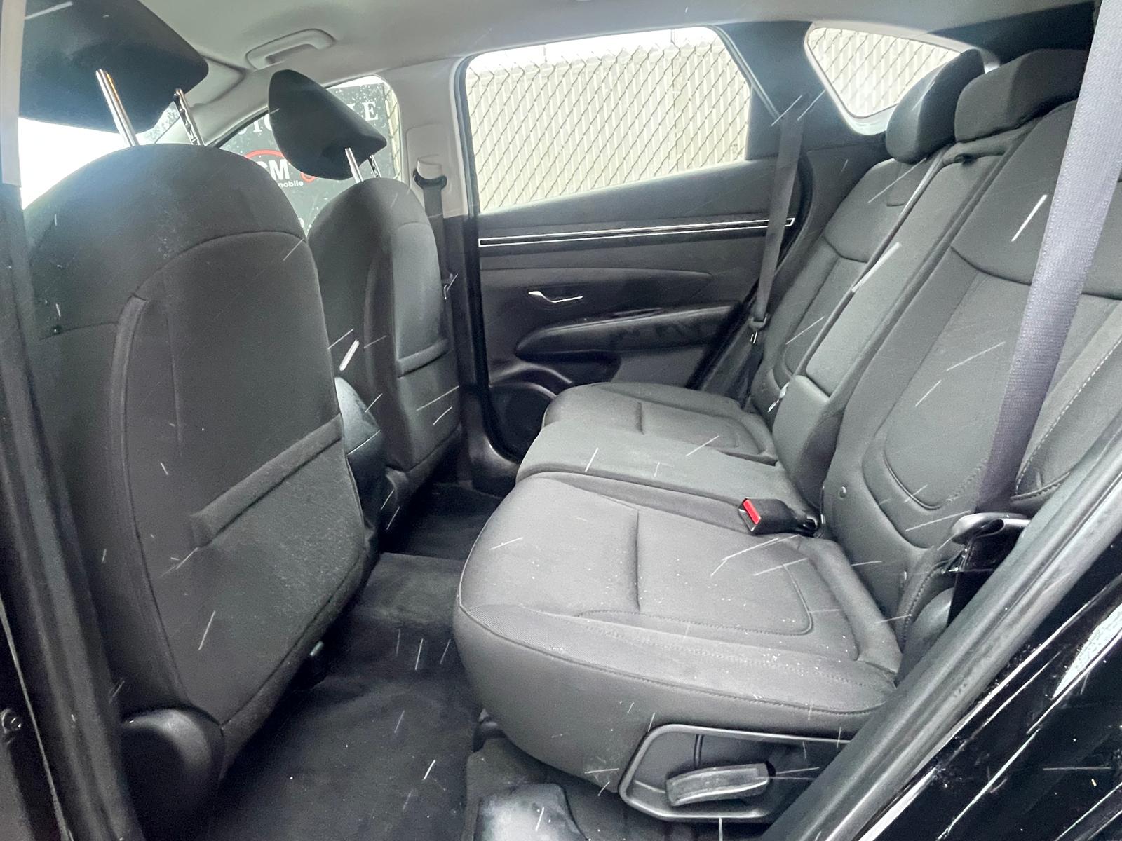 PHOTO-2026-01-15-14-33-53 11.jpg