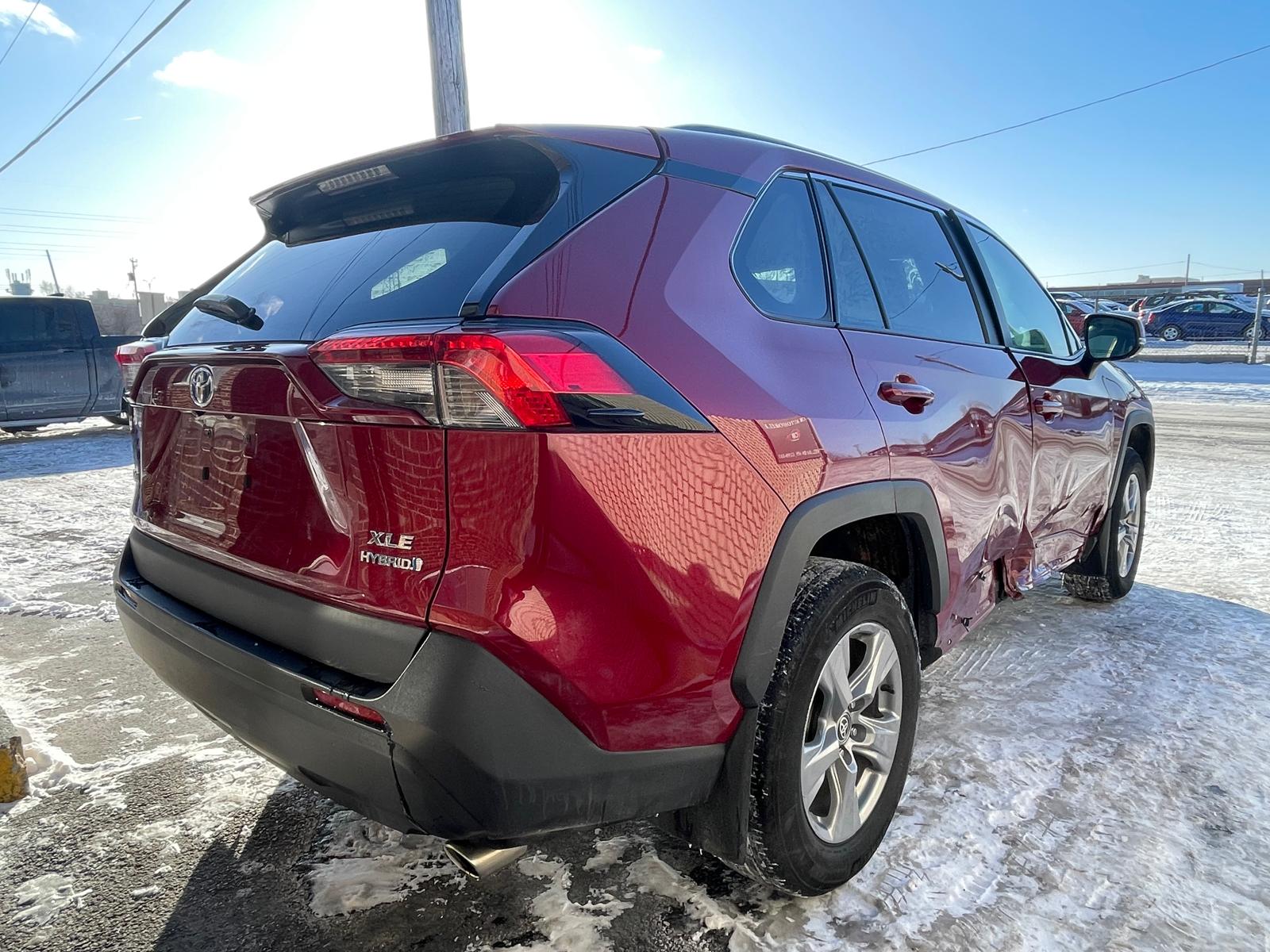 PHOTO-2026-01-24-16-46-17 2.jpg