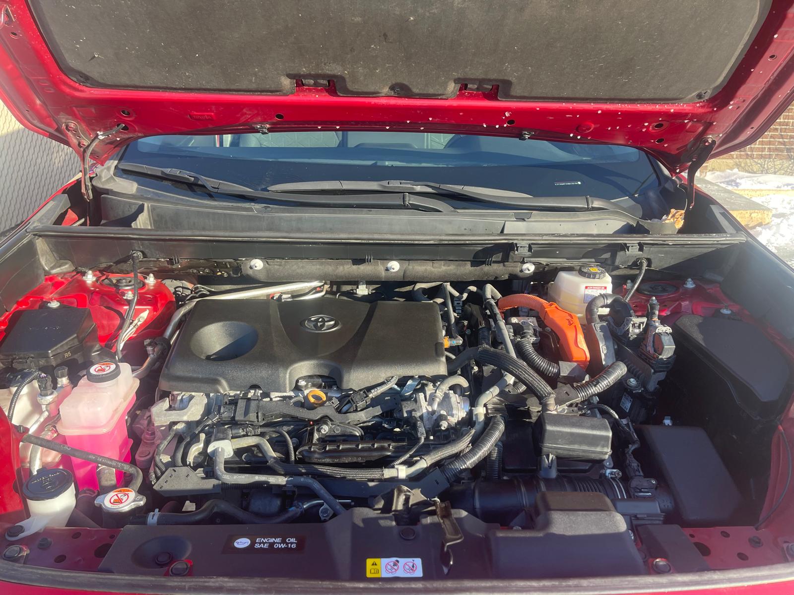 PHOTO-2026-01-24-16-46-18 3.jpg