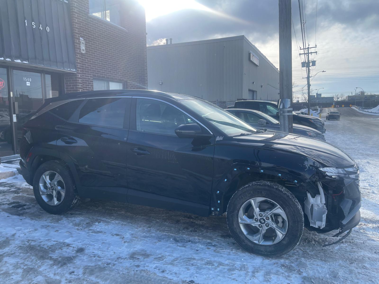 PHOTO-2026-01-30-10-24-51 2.jpg