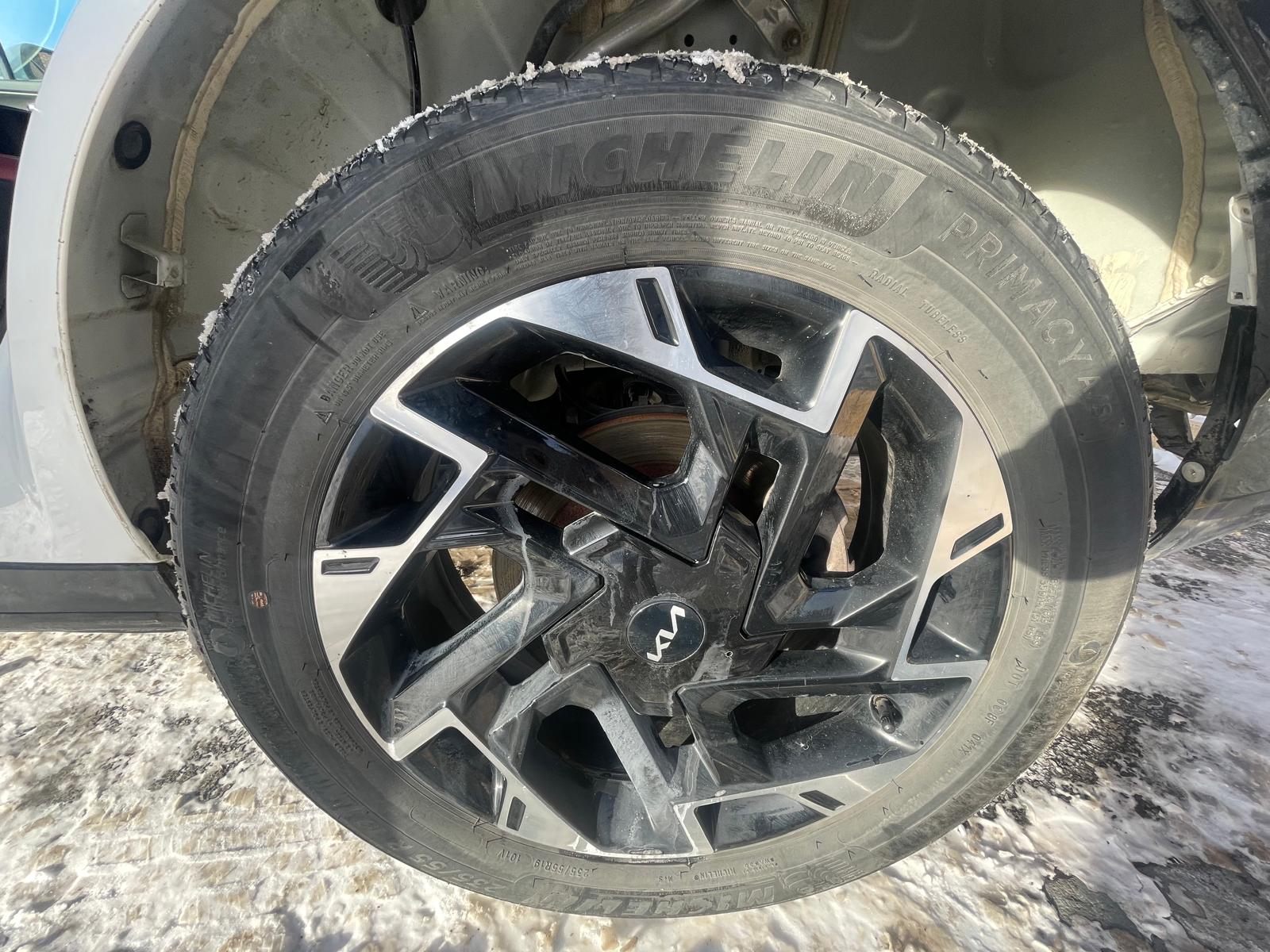 PHOTO-2026-01-30-16-01-15 8.jpg