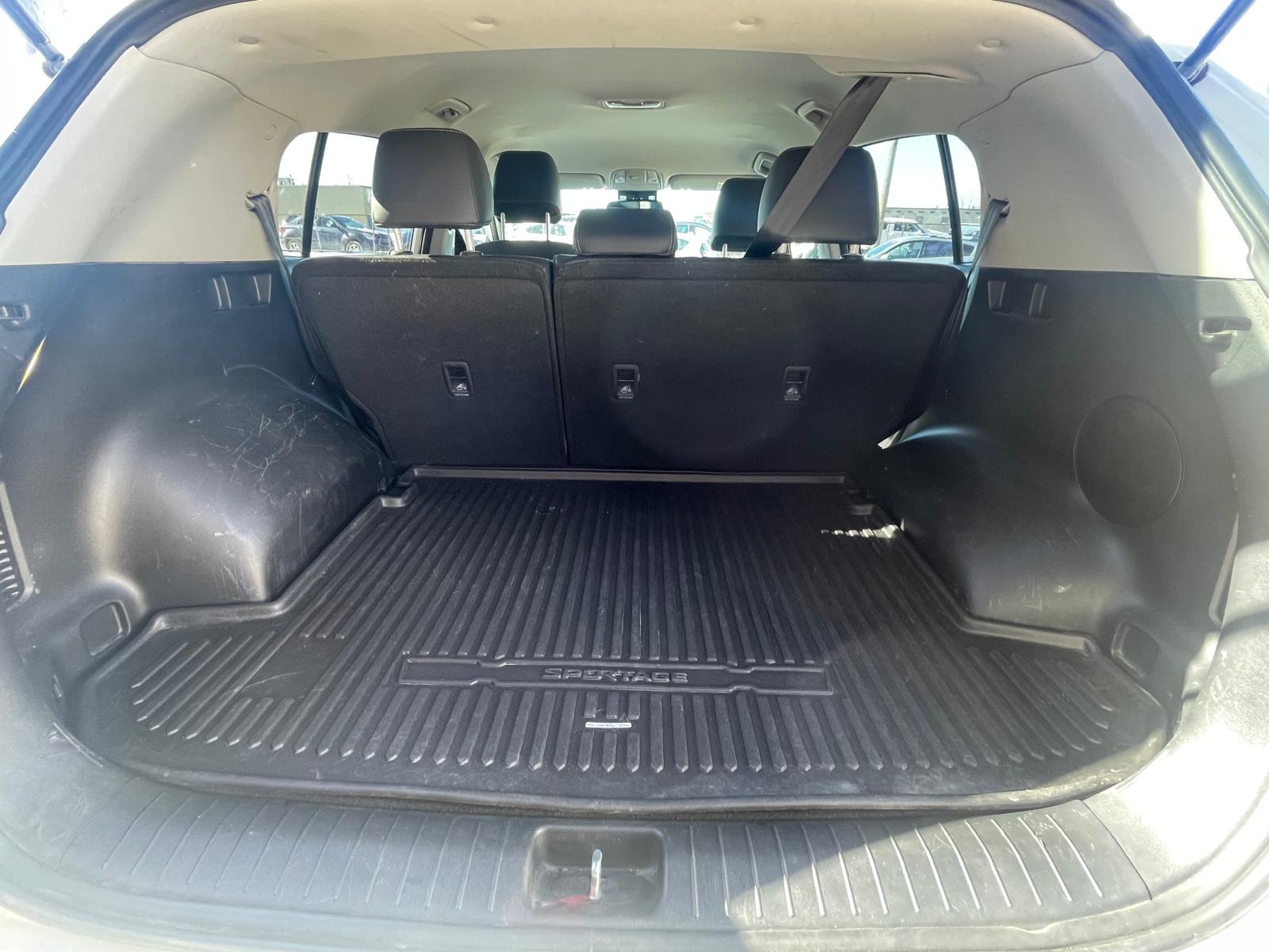 PHOTO-2026-02-02-12-14-28 5.jpg