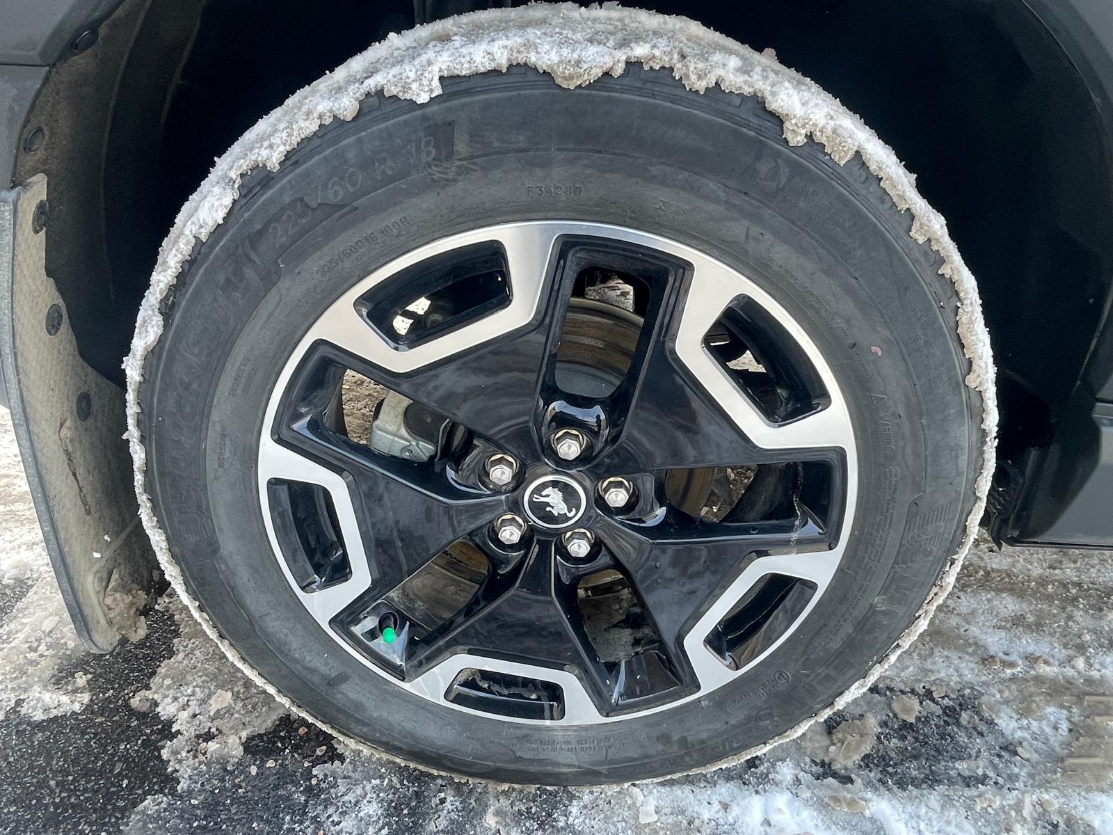 PHOTO-2026-02-04-10-03-51 13.jpg