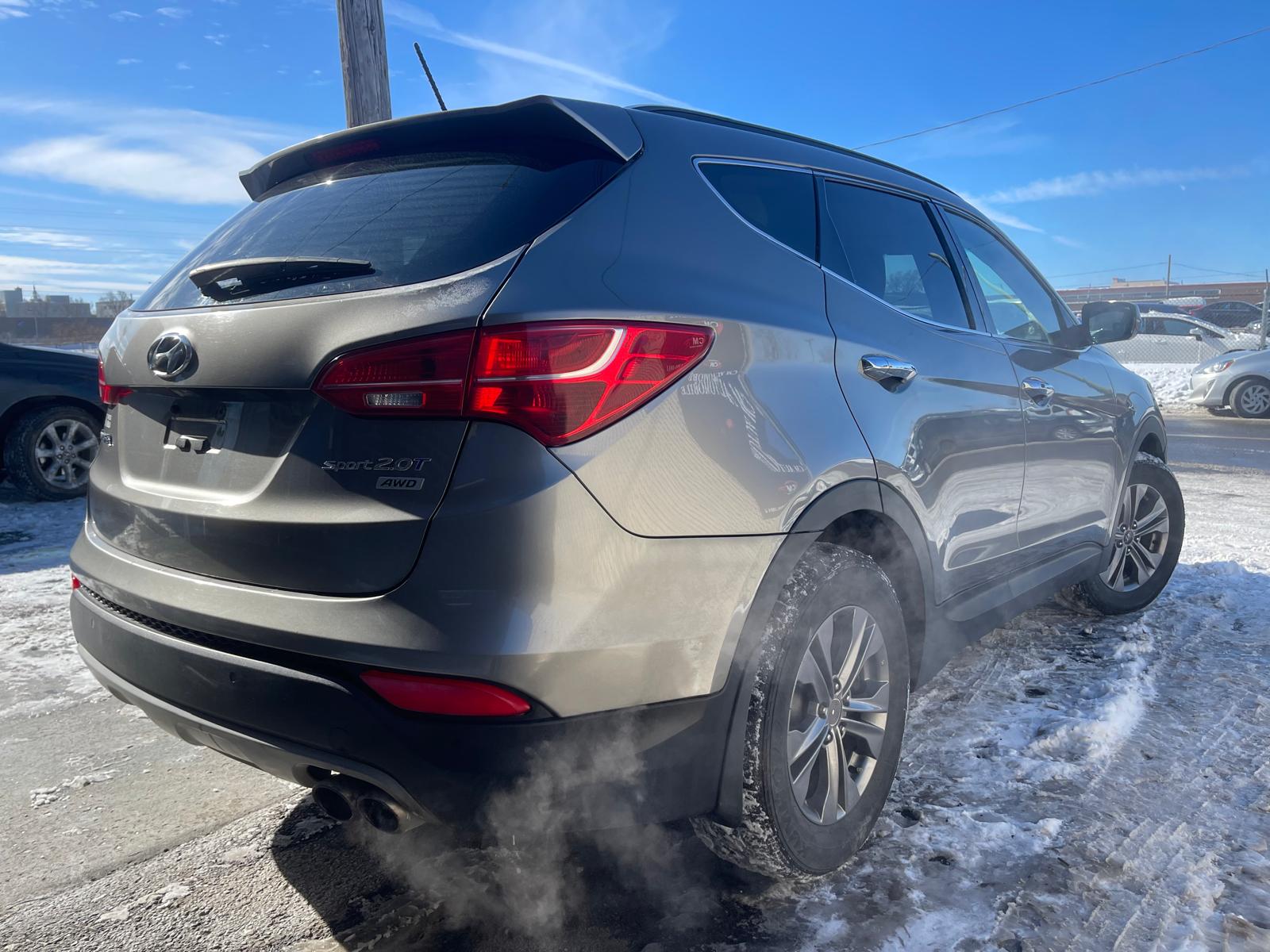 PHOTO-2026-02-13-11-53-06 4.jpg