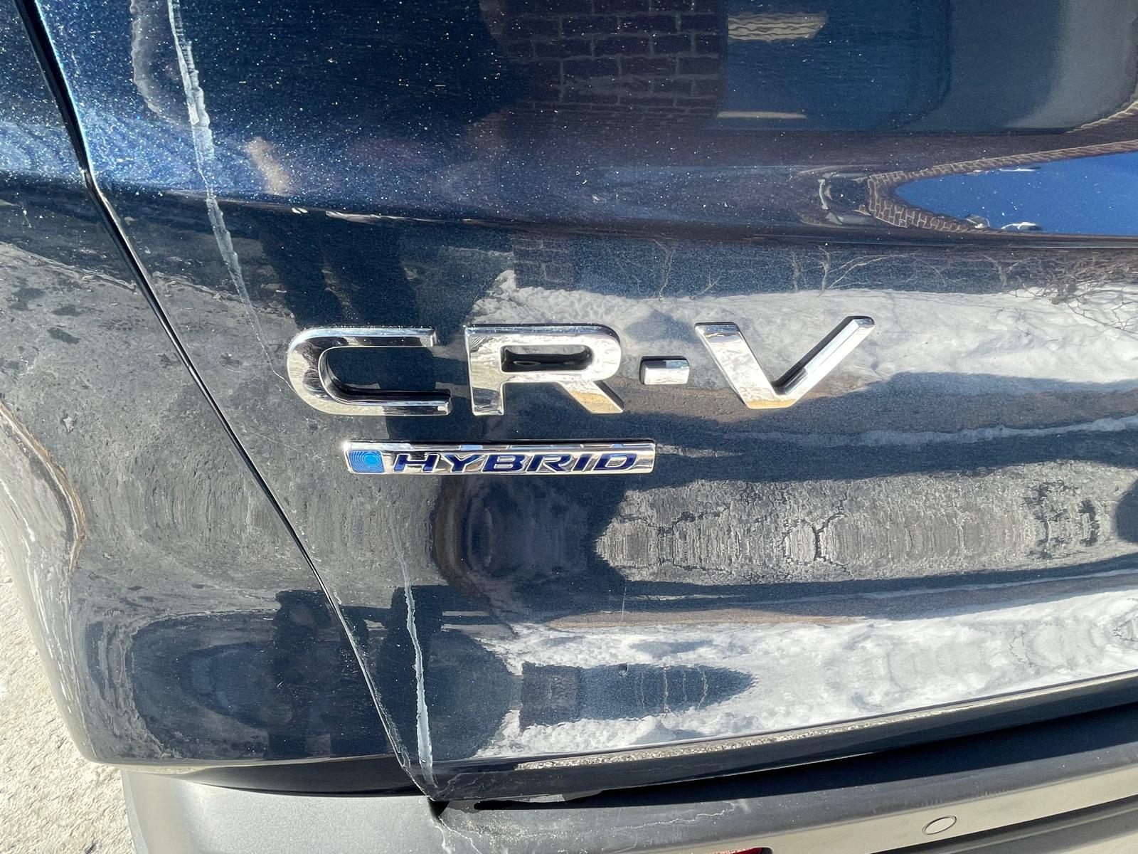 PHOTO-2026-02-13-13-46-07 3.jpg