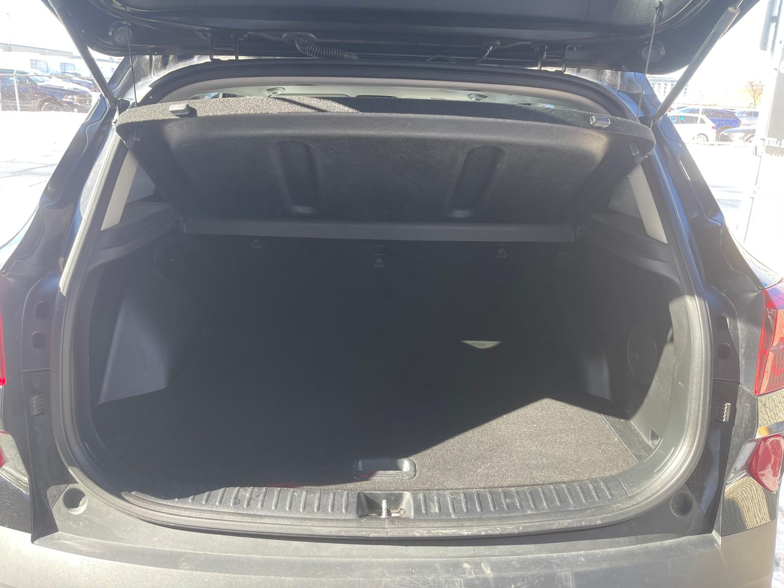 PHOTO-2026-02-14-11-50-38 12.jpg