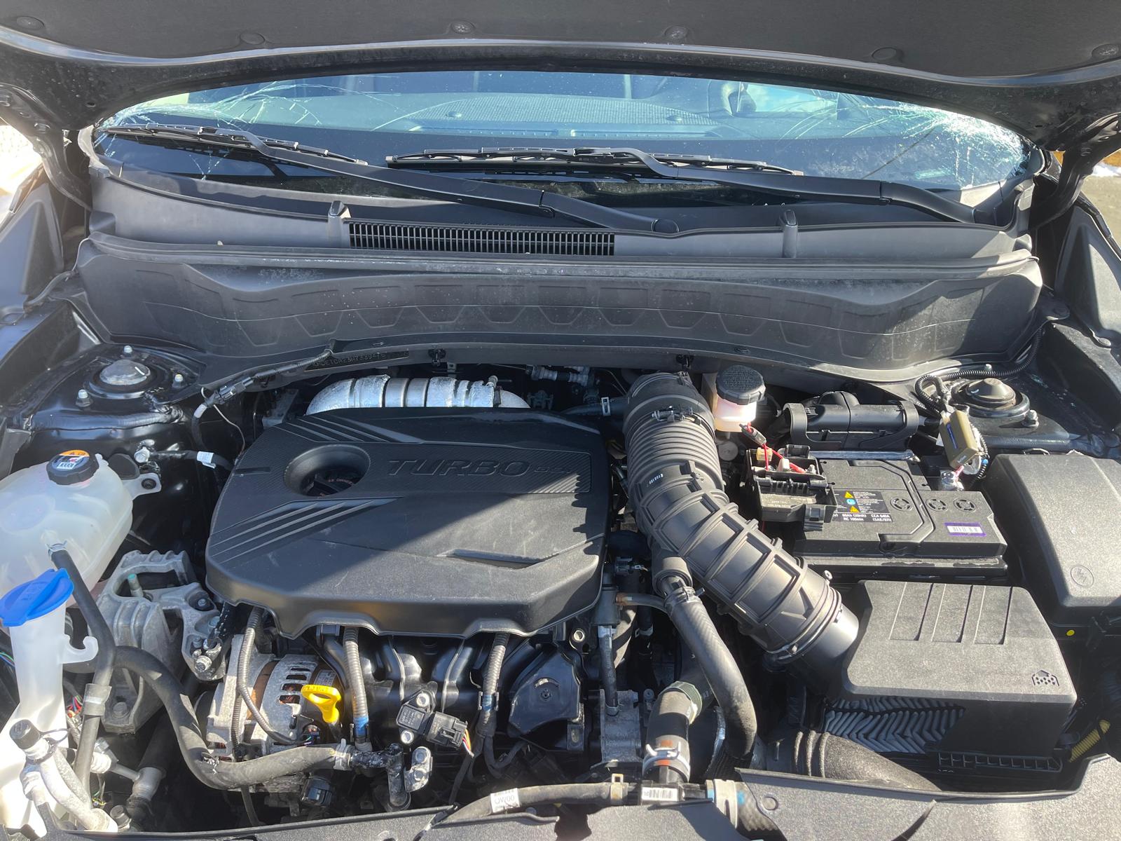 PHOTO-2026-02-14-11-50-38 9.jpg