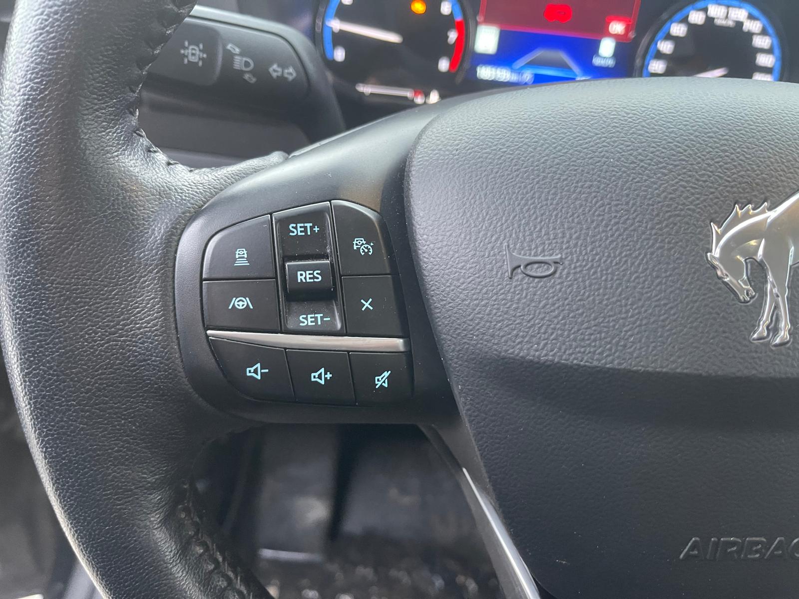 PHOTO-2026-02-17-13-54-38 5.jpg