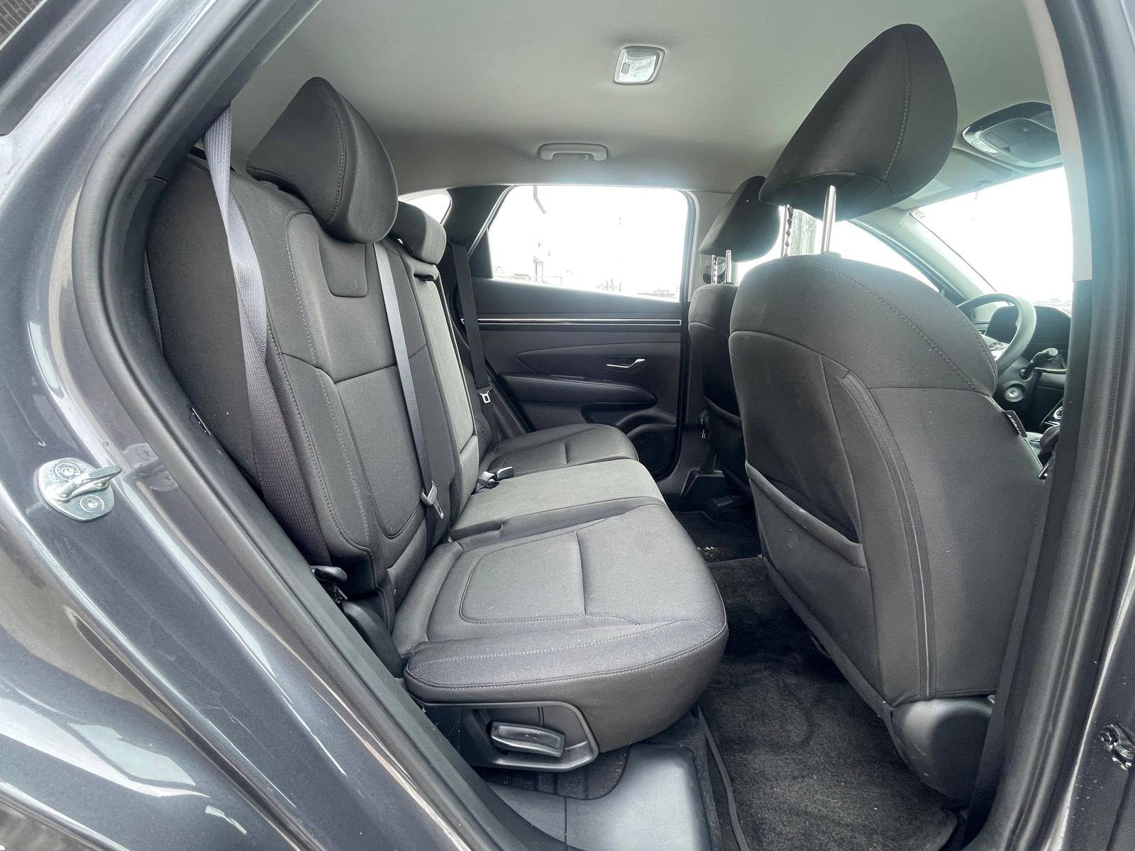 PHOTO-2026-02-26-15-15-43 9.jpg