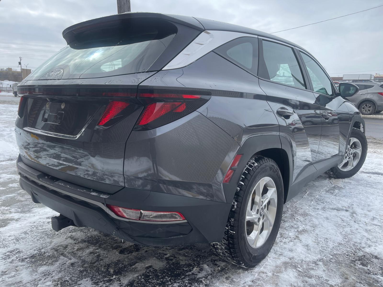 PHOTO-2026-02-26-15-15-43 16.jpg