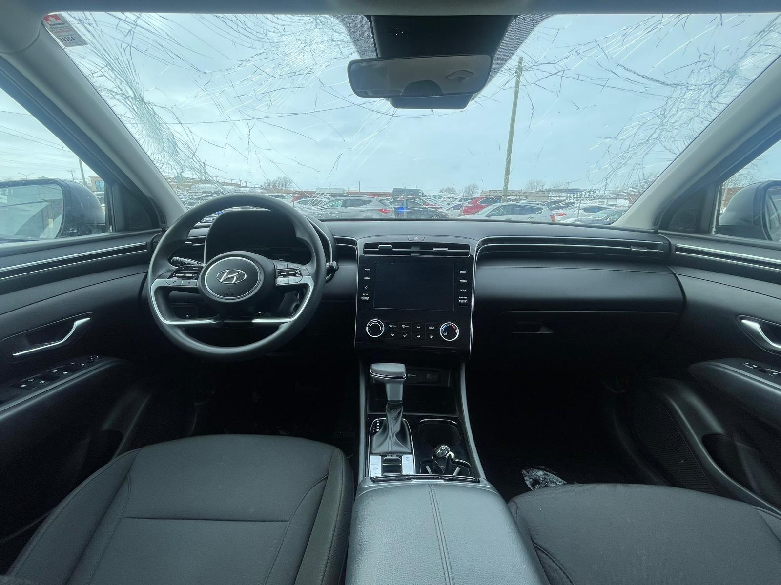 PHOTO-2026-02-26-15-15-43 5.jpg