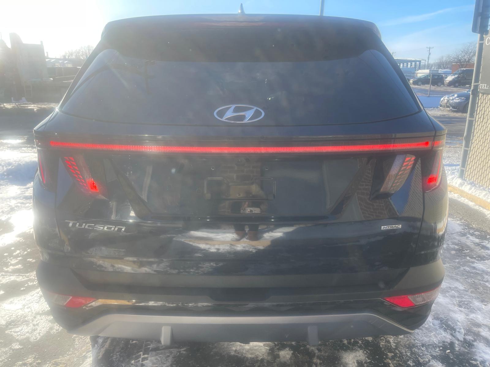 PHOTO-2026-02-26-16-10-02 4.jpg