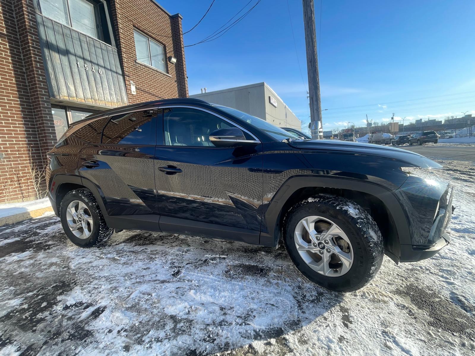 PHOTO-2026-02-26-16-10-02 2.jpg