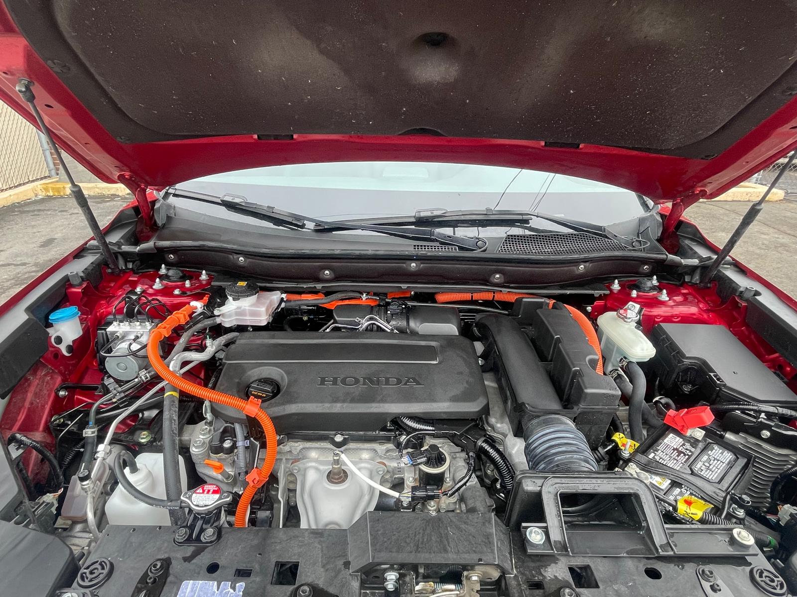 PHOTO-2026-03-13-16-34-29 26.jpg