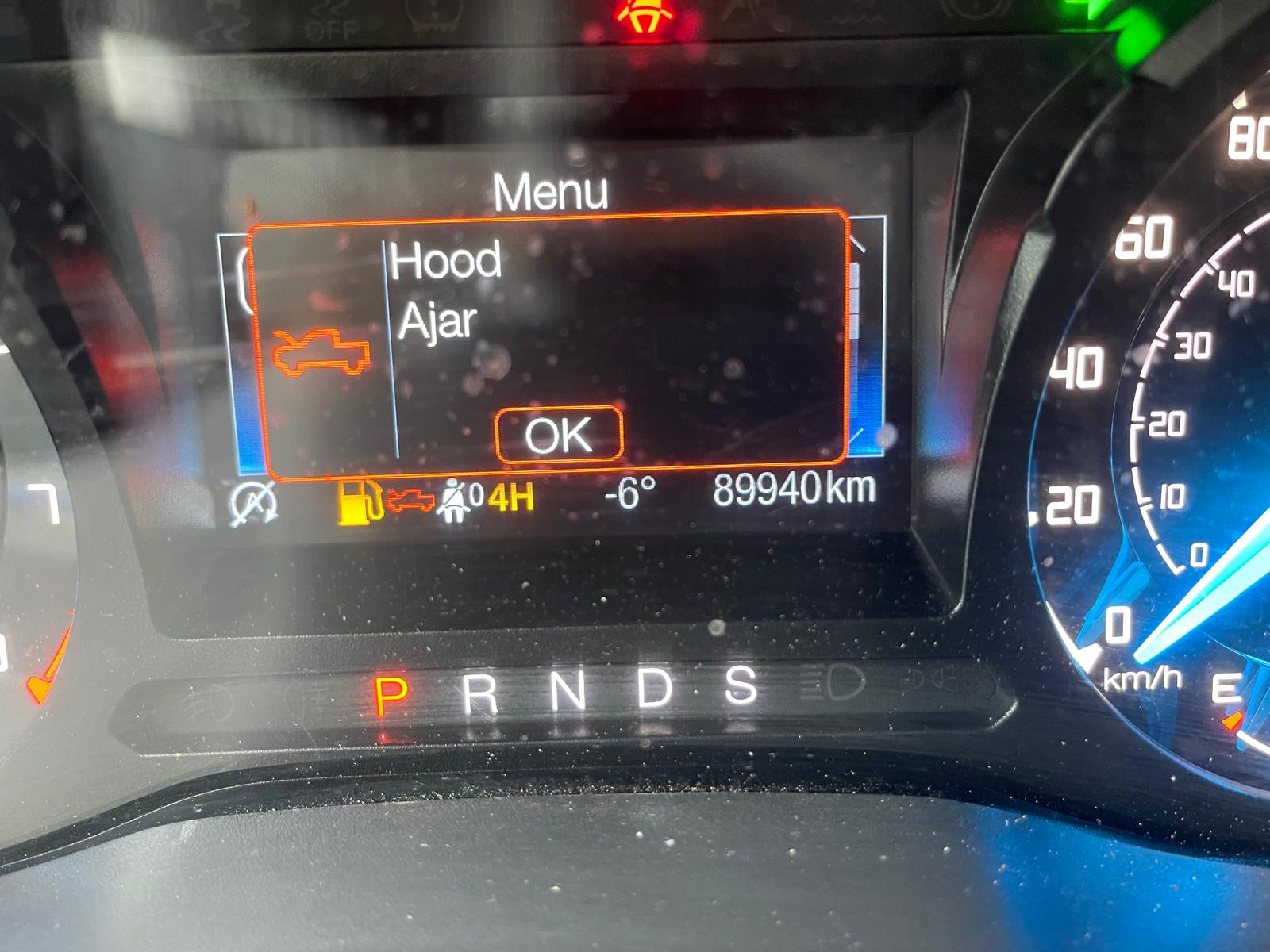 PHOTO-2026-03-17-15-29-22 20.jpg