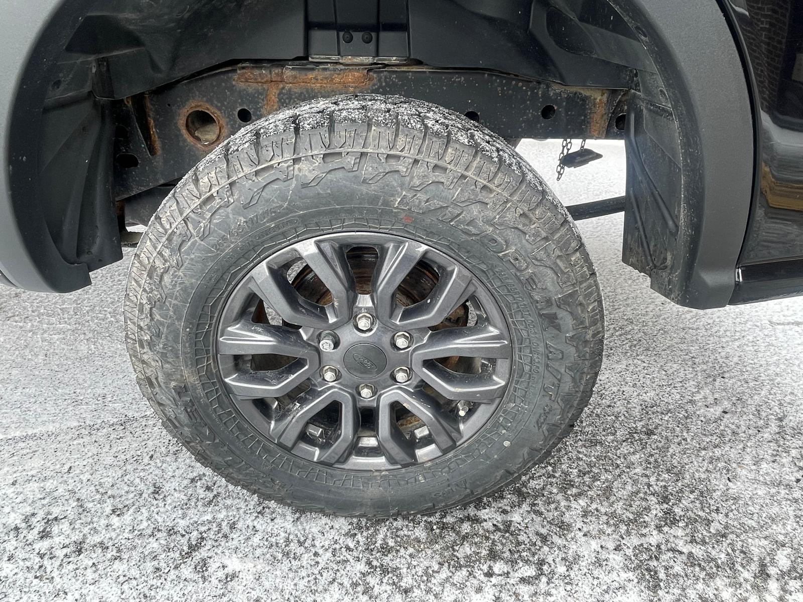 PHOTO-2026-03-17-15-29-22 11.jpg